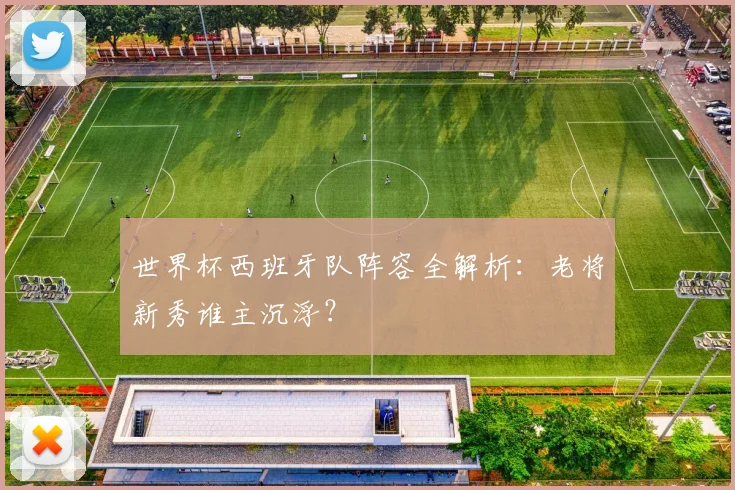 世界杯西班牙队阵容全解析：老将新秀谁主沉浮？