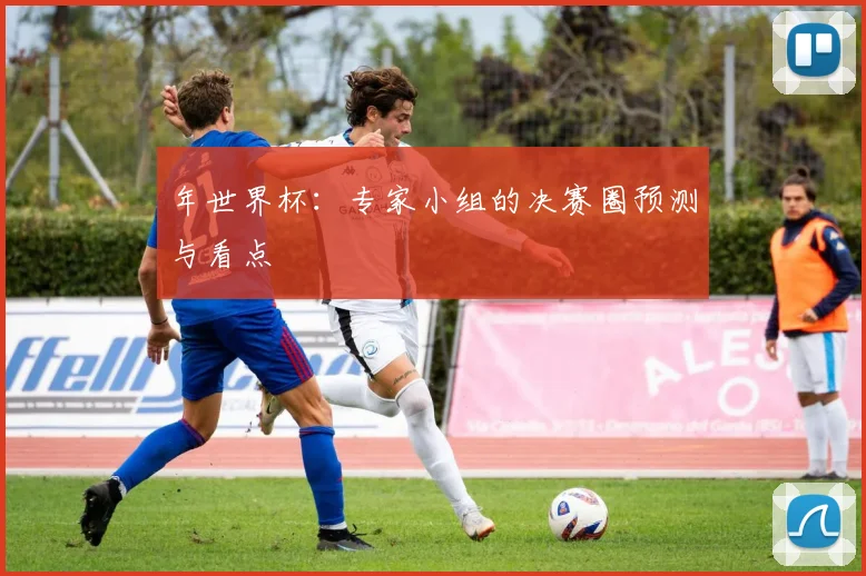 年世界杯：专家小组的决赛圈预测与看点