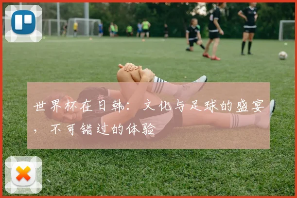 世界杯在日韩：文化与足球的盛宴，不可错过的体验