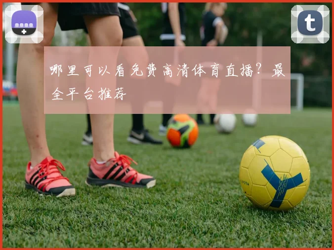 哪里可以看免费高清体育直播？最全平台推荐