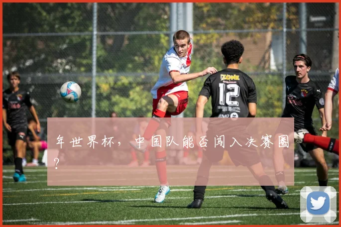 年世界杯，中国队能否闯入决赛圈？