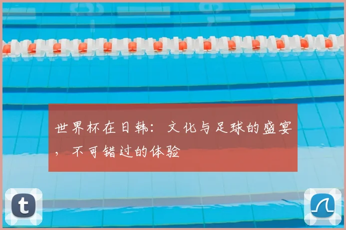 世界杯在日韩：文化与足球的盛宴，不可错过的体验