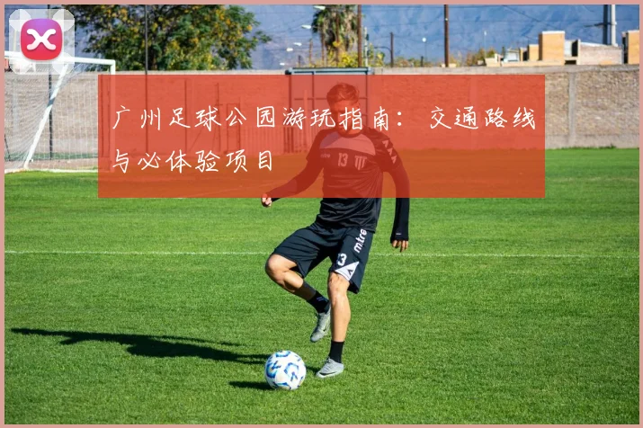 广州足球公园游玩指南：交通路线与必体验项目